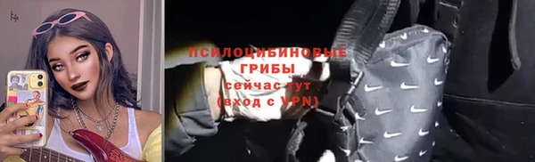 стаф Верхний Тагил