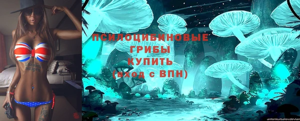 дживик Волосово